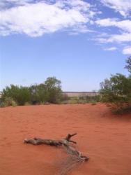 Halte sur la route 004.jpg