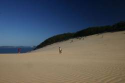 Perdus dans l'immensité dunaire